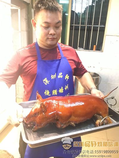 深圳乳猪培训